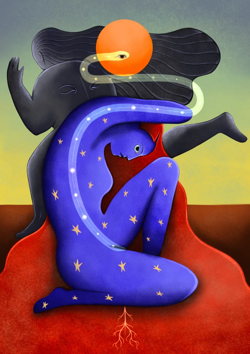 Metamorfosi, 2024